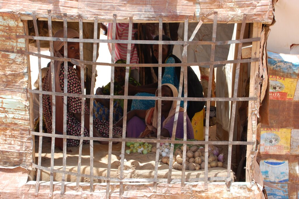 Promuovere in Somalia un cambiamento per i membri delle forze di sicurezza, dei governi regionali, dei sopravvissuti a violazioni di diritti umani e della popolazione civile.