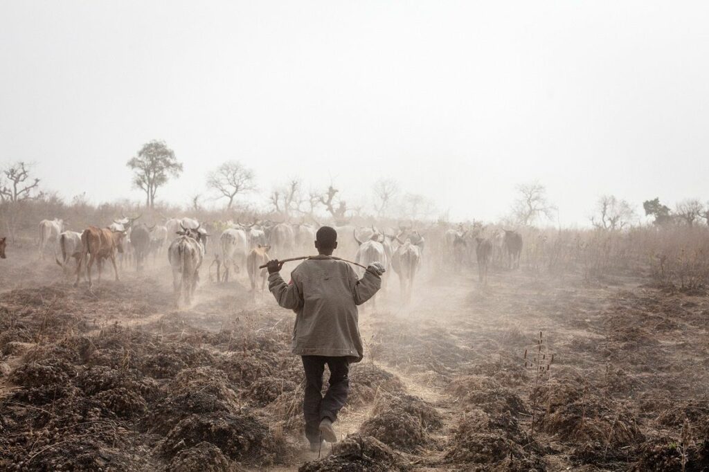 Prendete la Somalia. Prima, una siccità come mai da quarant’anni; poi, inondazioni di cui non si aveva memoria da generazioni. E milioni di sfollati. Non è difficile capire come tutto questo possa impattare sulla salute mentale.