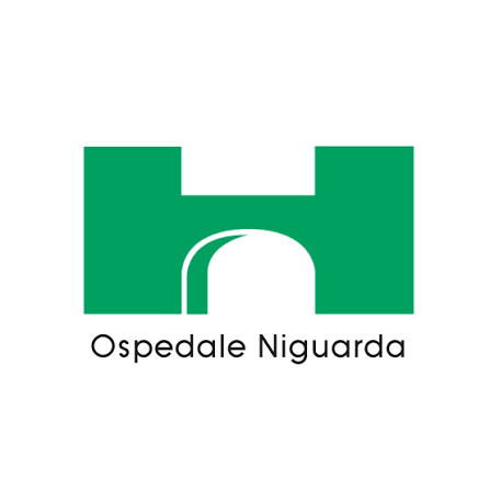 Servizio di Etnopsichiatria dell’Ospedale Niguarda